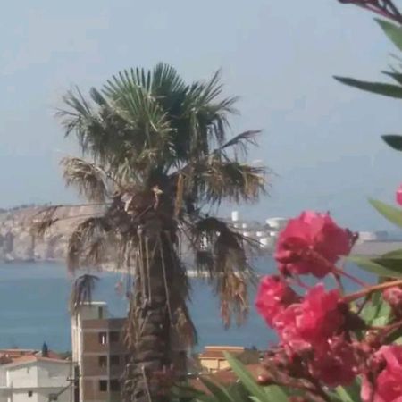 Apartman David - 65M² I Apartman Filip - 55M² بار المظهر الخارجي الصورة